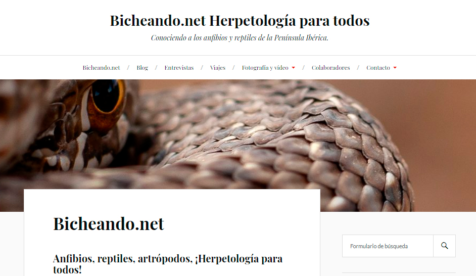 Bicheando.net portal de divulgación herpetológico